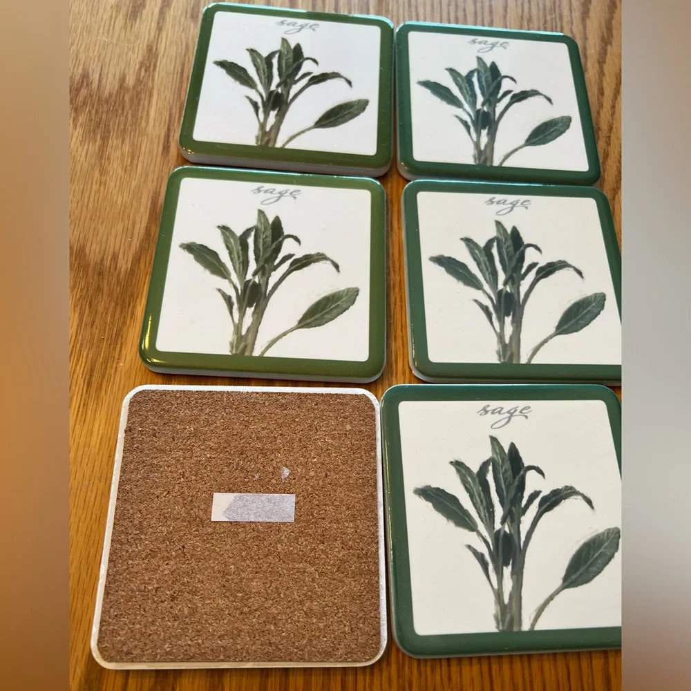 Set of 6 Sage Coasters with Darren Gygi's Artwork